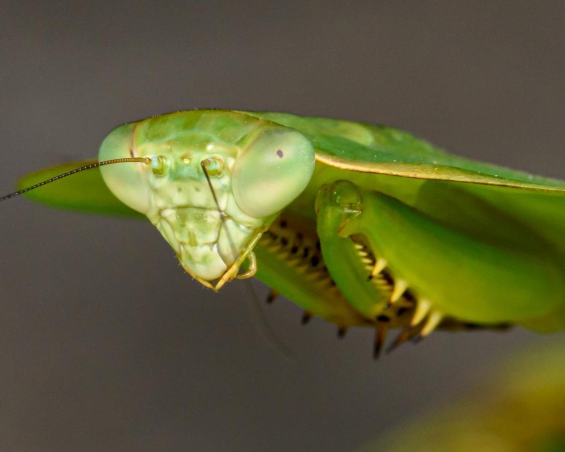 Kuyana Amazon Lodge Archidona Екстериор снимка