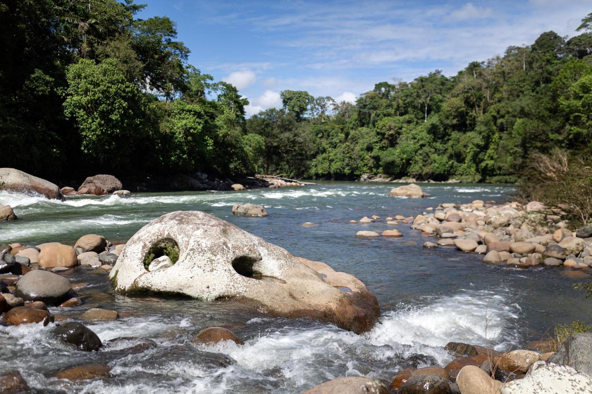Kuyana Amazon Lodge Archidona Екстериор снимка